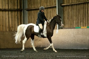 Isis Dressage Crown Farm Show 29th April 2012